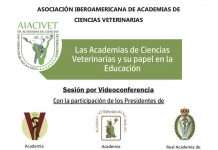 Videoconferencia. Las Academias y la Universidad