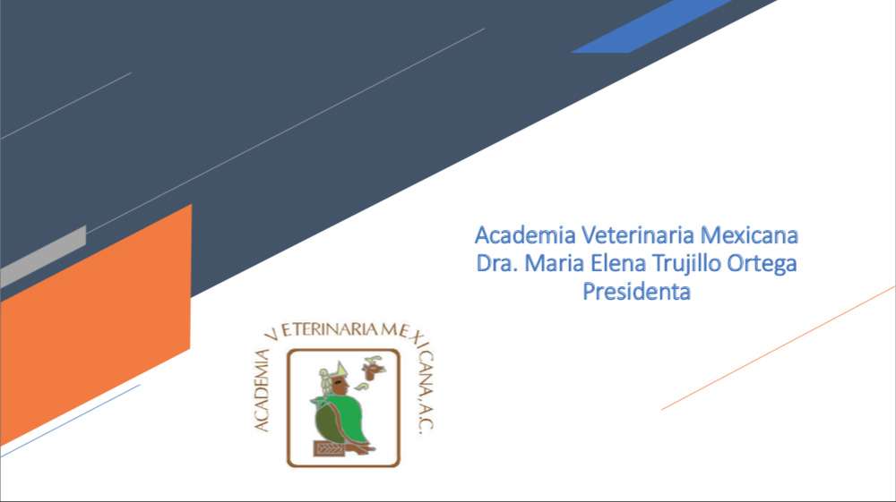 Documento que recoge historia, estructura y principales vías de trabajo de la Academia Veterinaria Mexicana