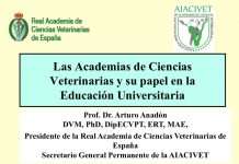 Las Academias y su papel en la educación universitaria