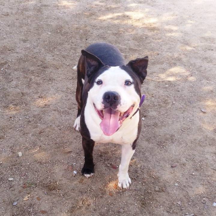 Lenny_1