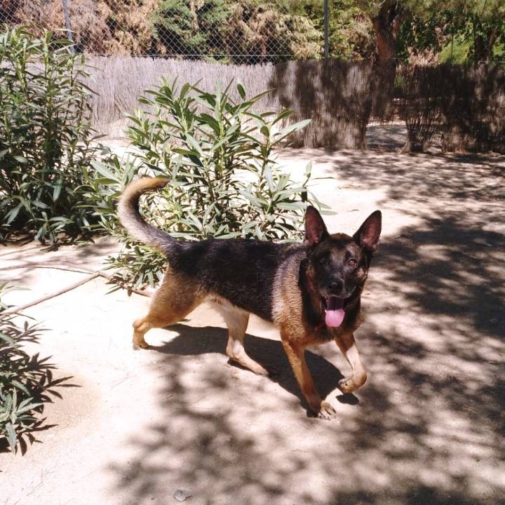 Max_1