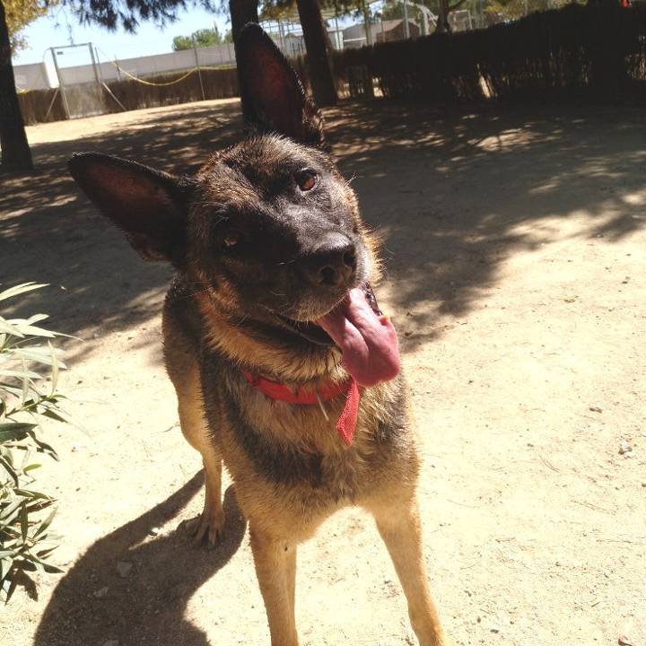 Max_2