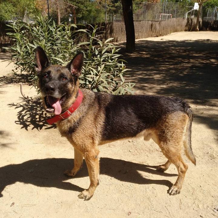Max_3